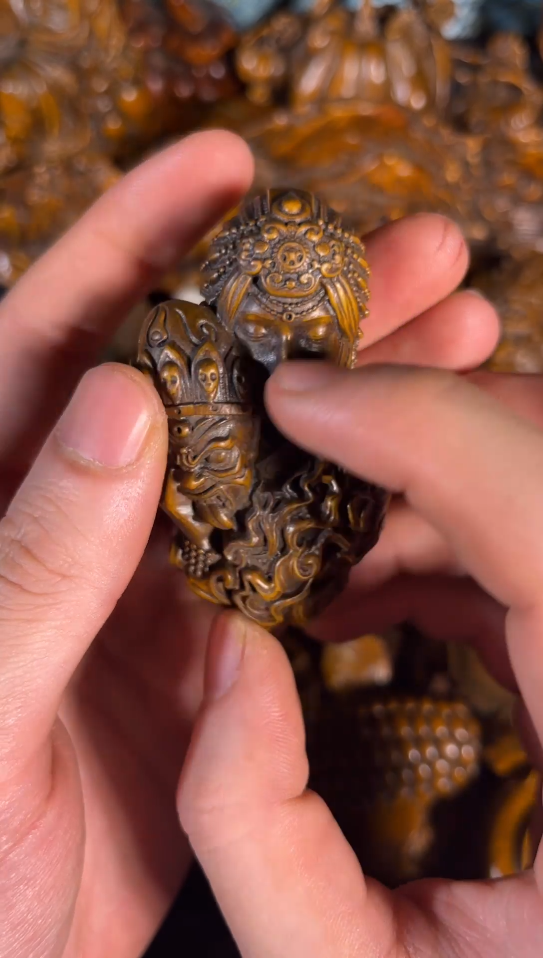 黄杨木111111111111