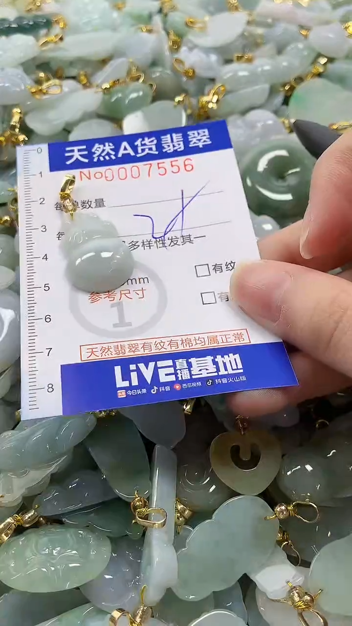 颈饰未镶嵌翡翠纯天然a货翡翠
