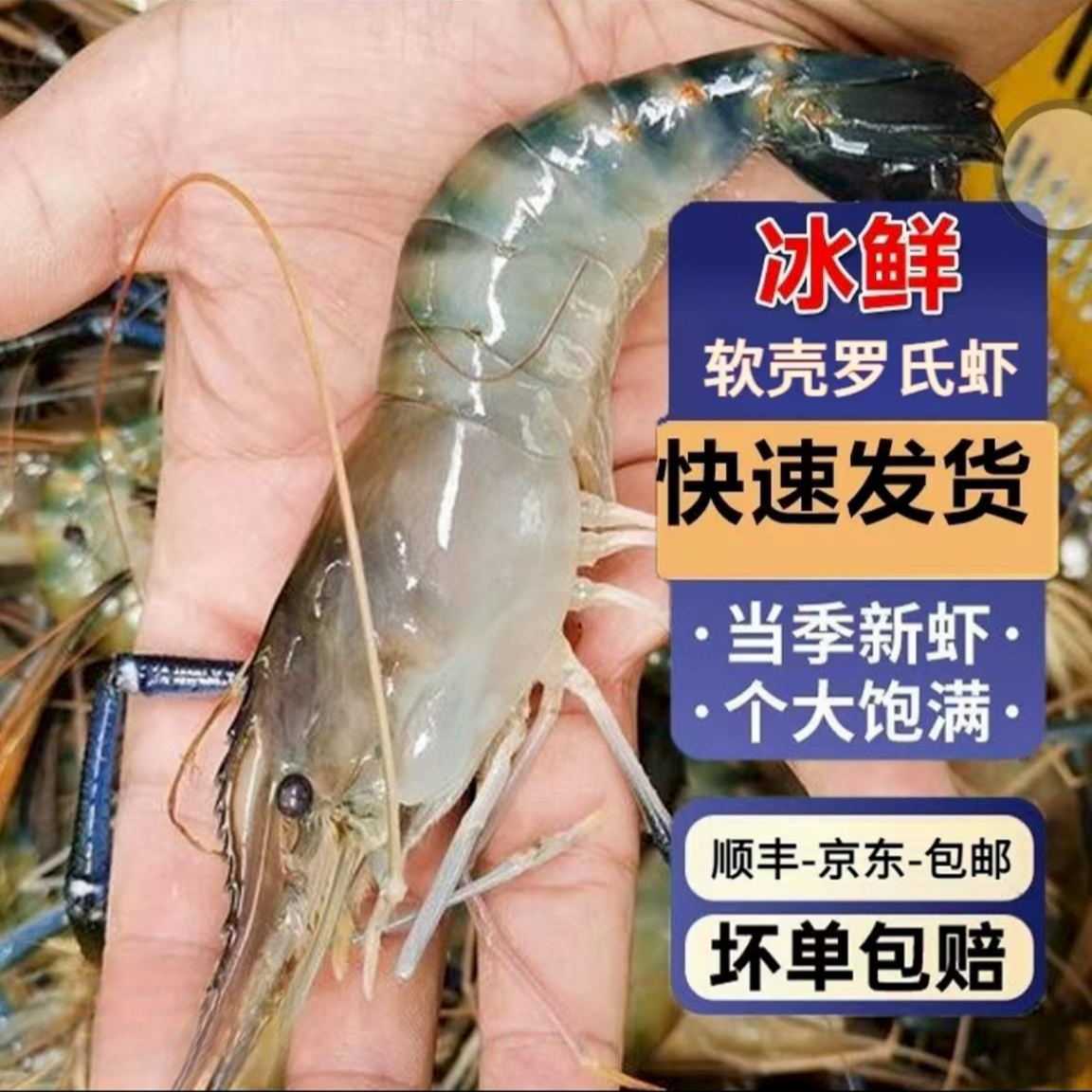 顺丰包邮罗氏虾虾鲜活速冻新鲜日期带箱3斤