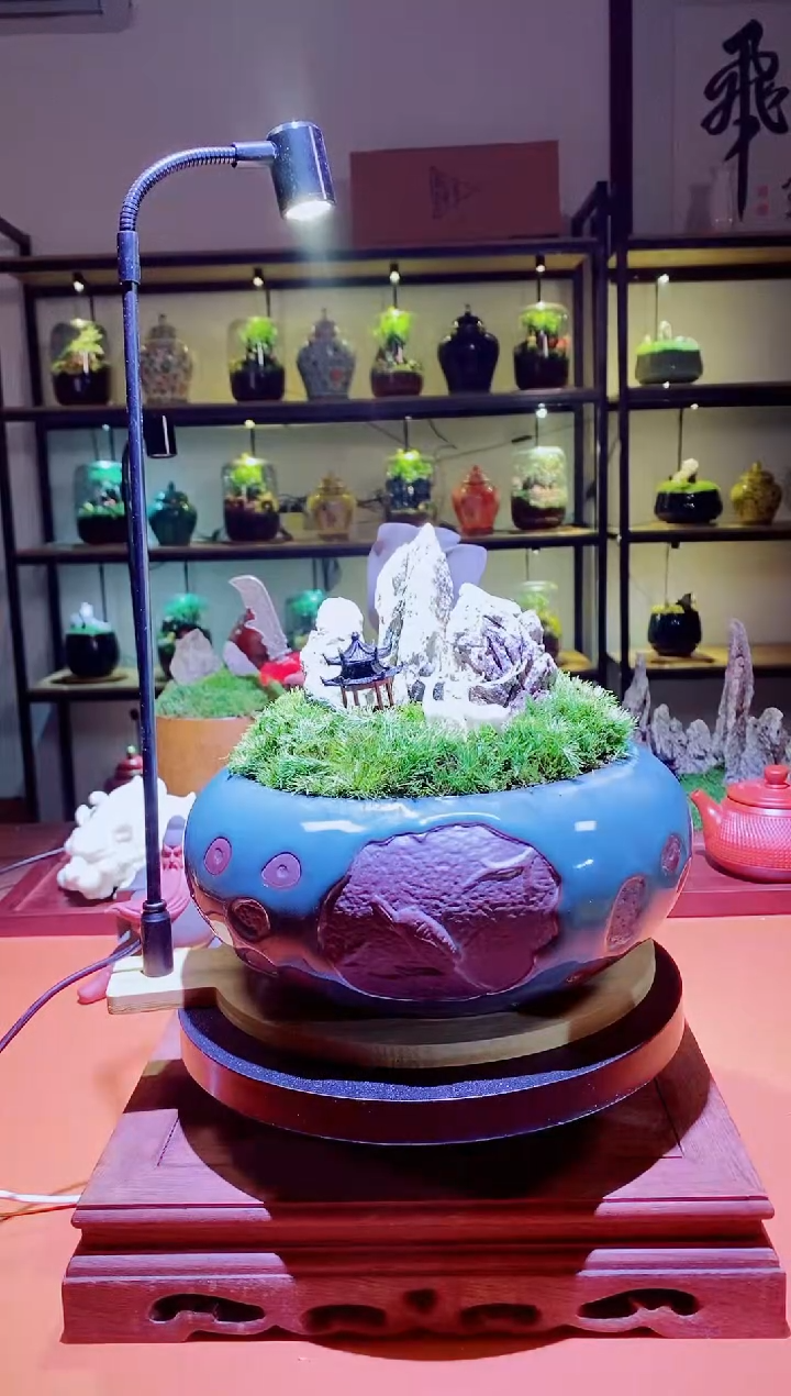 吉鑫福利精选福力