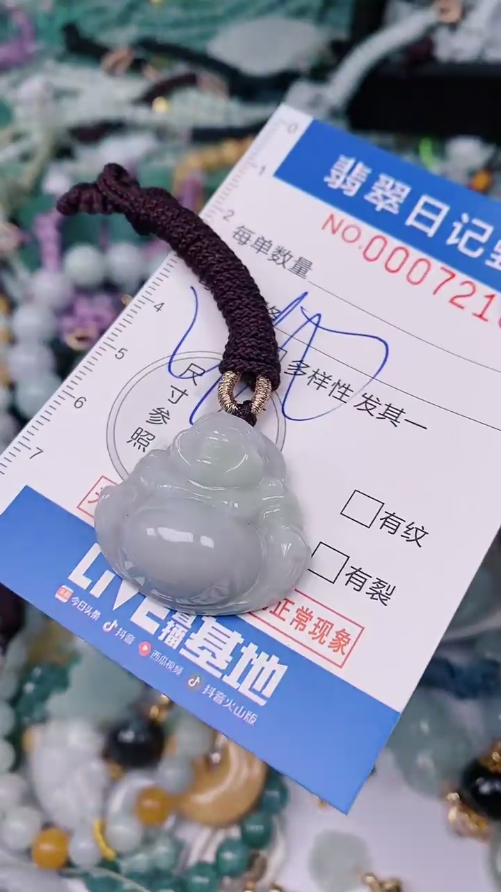 【闪购商品】翡翠颈饰未镶嵌00007218