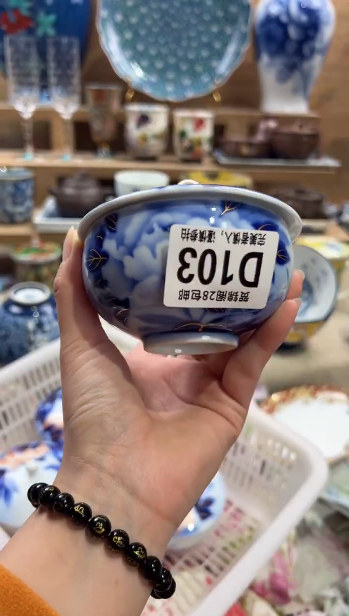 瓷片       D103