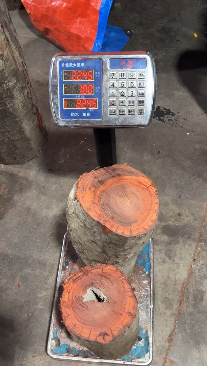 紫檀木类端景台树*赞比亚血檀 非洲紫檀