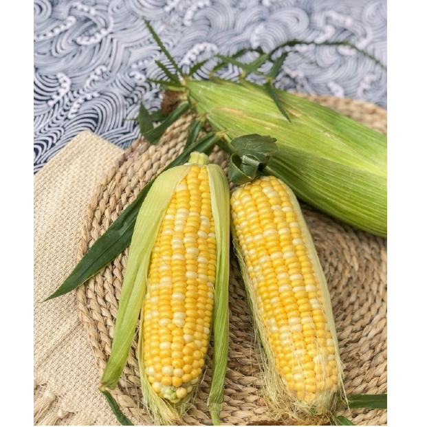 阡陌山货--玉米（带皮发）