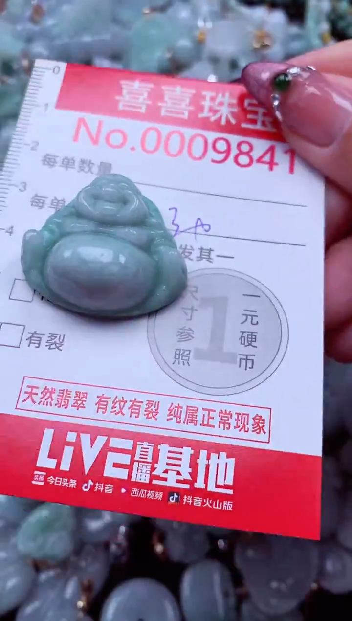 颈饰未镶嵌翡翠9841