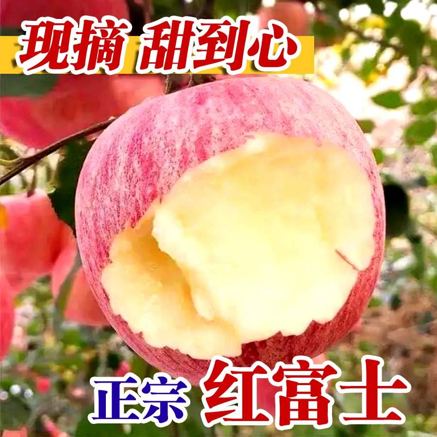 烟台栖霞红富士苹果嘎啦苹果新鲜酸甜脆甜整箱包邮