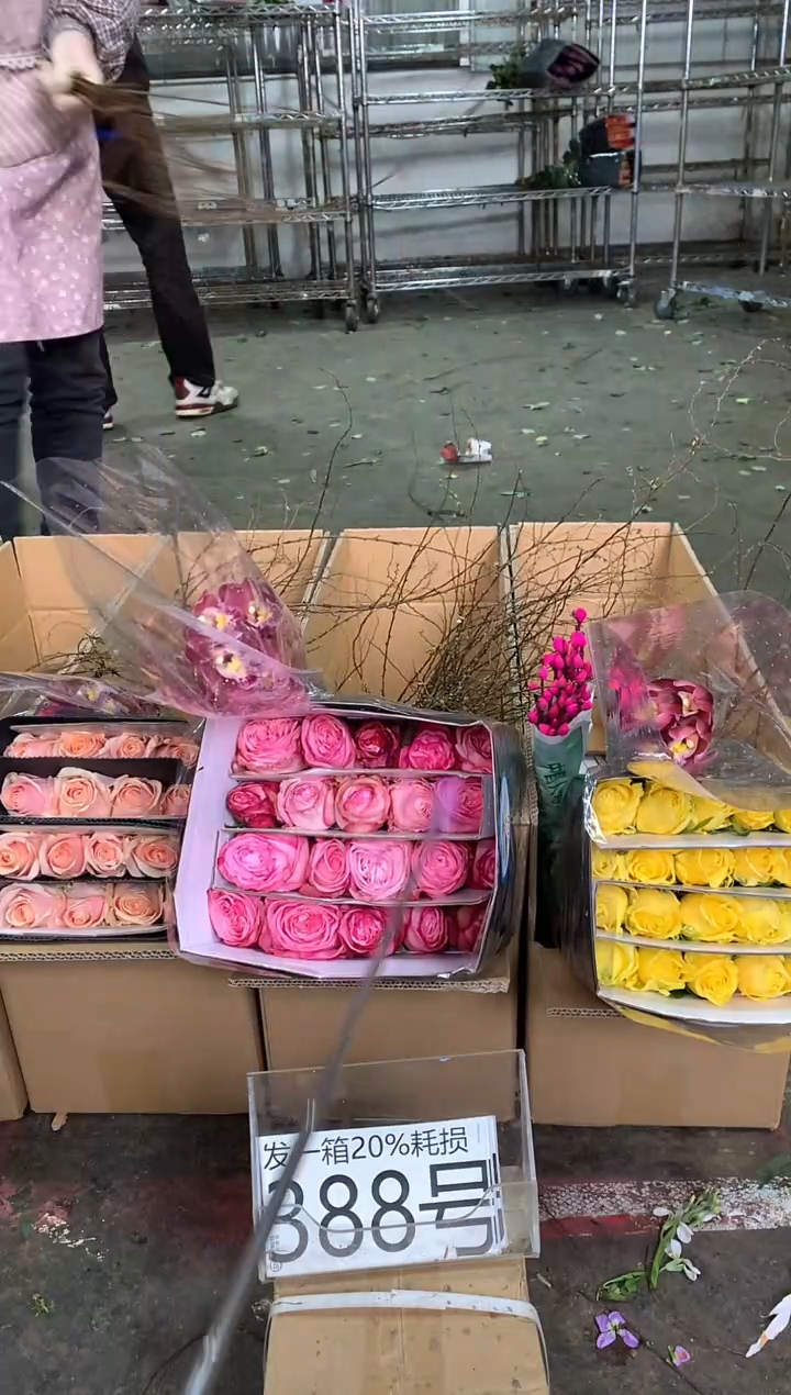 388号♥中通不指定随机颜色含20%耗损发一箱鲜花