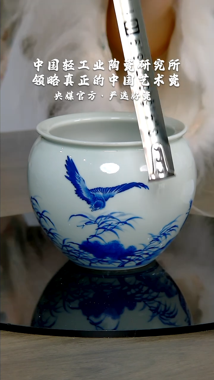 【闪购商品】瓷片陶瓷 研究所 流水27