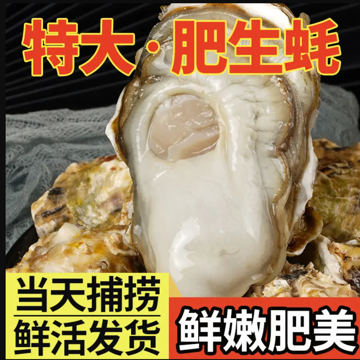 3【还没开价正宗精品乳山生蚝】黄金5-7两 买5斤送2斤 共7斤 活海鲜