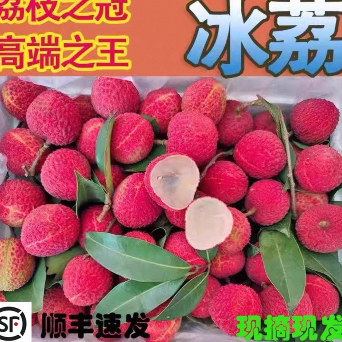 [顺丰次日达]正宗冰荔（蜜丁香）荔枝4斤7斤新鲜现摘时令水果整箱礼盒2025头茬荔枝同城送