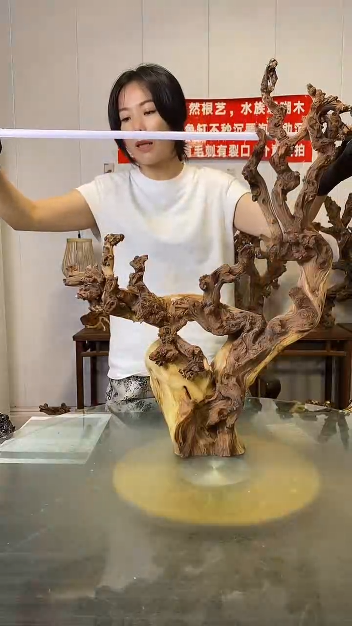 香榧木金丝红木   羊蹄甲