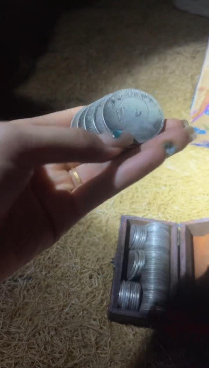 【闪购商品】【闪购商品】5个