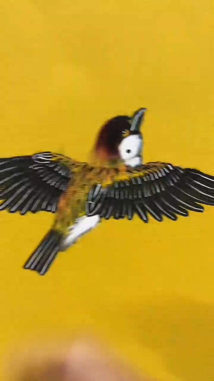 书法国画闪购商品2