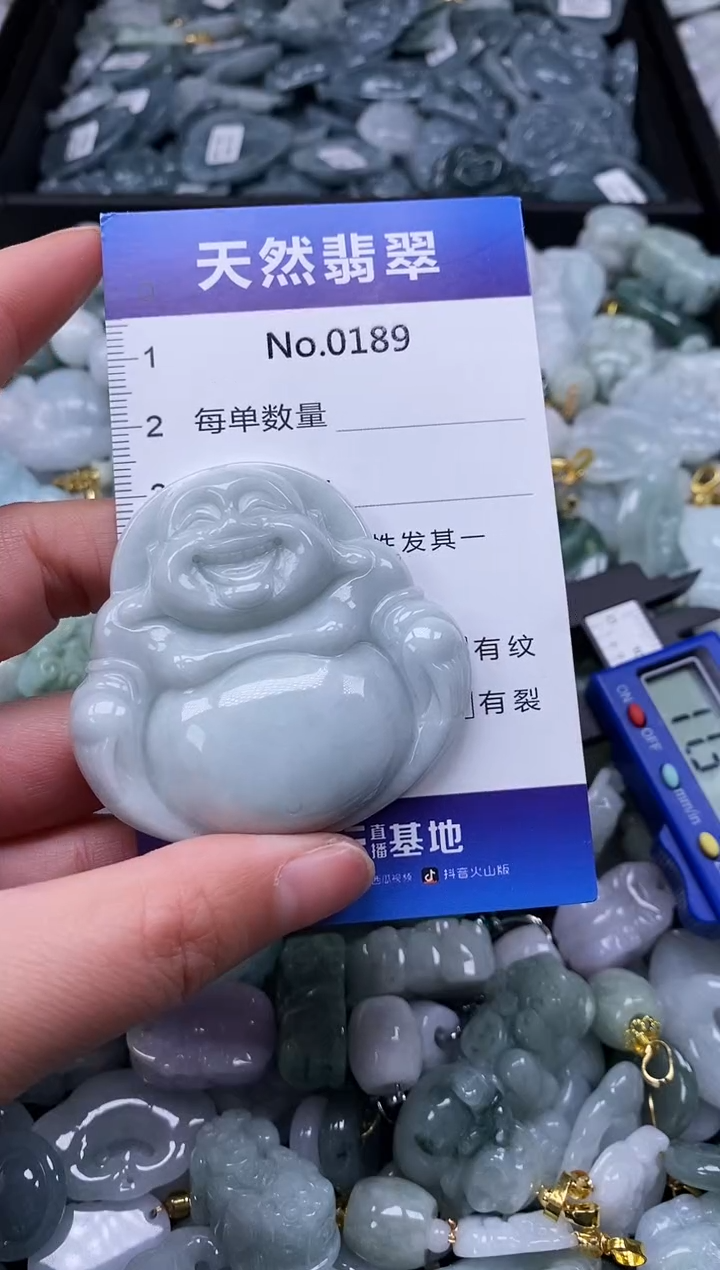 【闪购商品】翡翠颈饰未镶嵌缅甸A货翡翠0189
