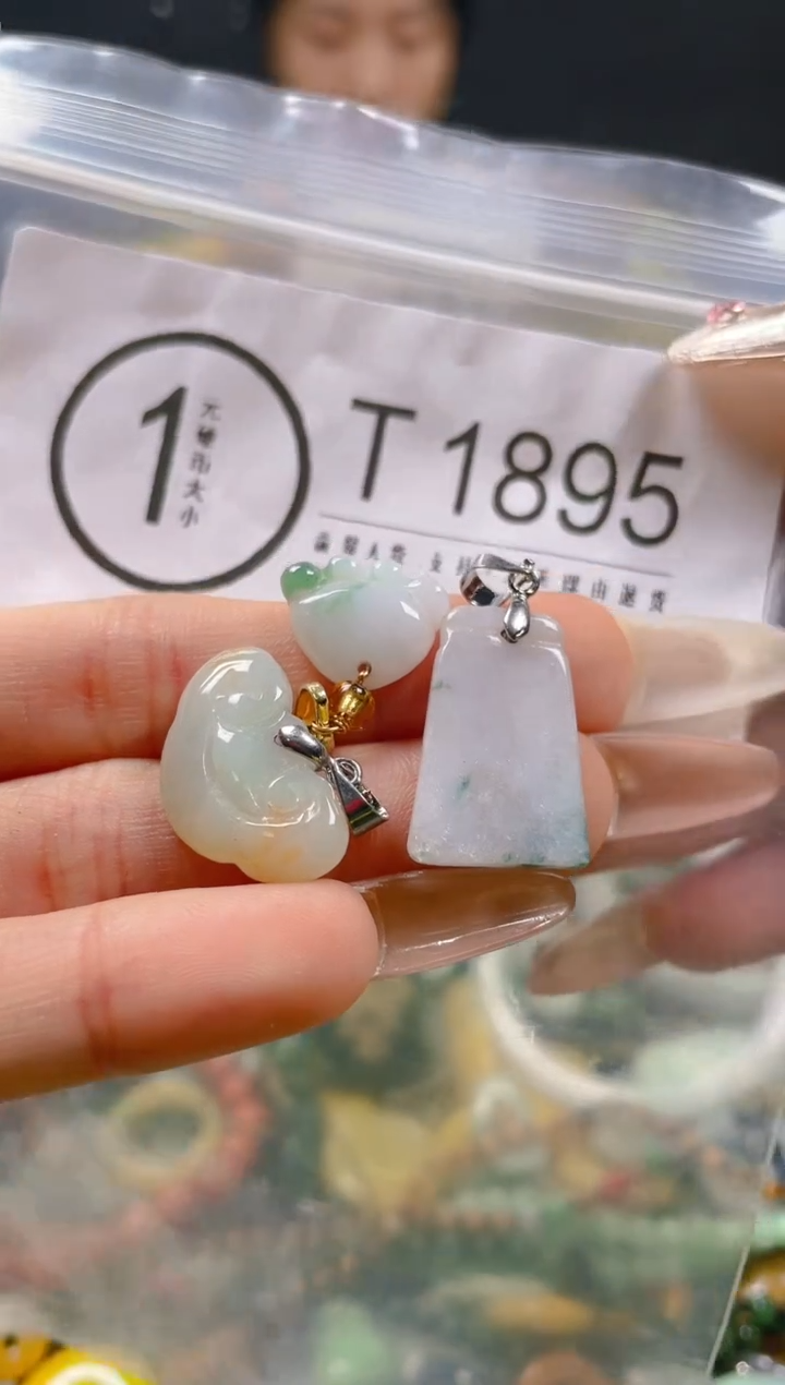 【闪购商品】翡翠颈饰未镶嵌/T/翡翠A货一图一物