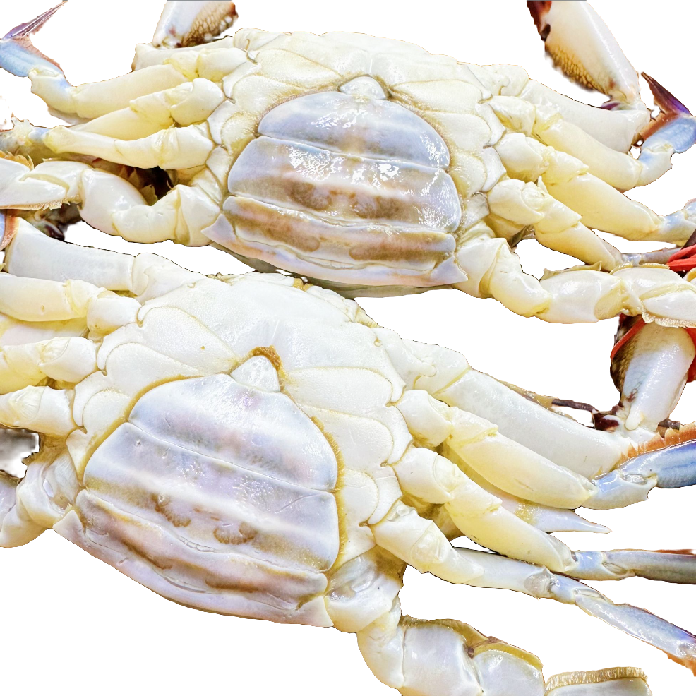 东港三点红母蟹＋虾爬 共3斤 单蟹只3两左右【保鲜不保活】爬上汽3分钟