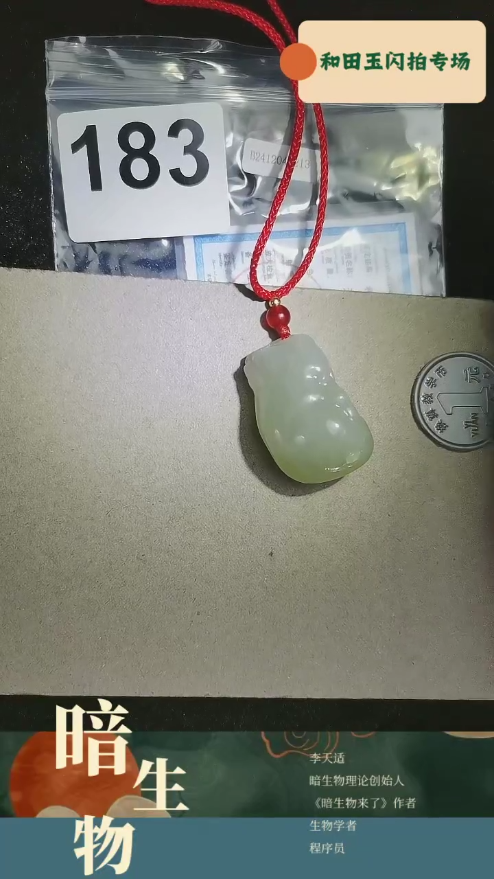 【闪购商品】和田玉吊坠(赠链)未镶嵌183