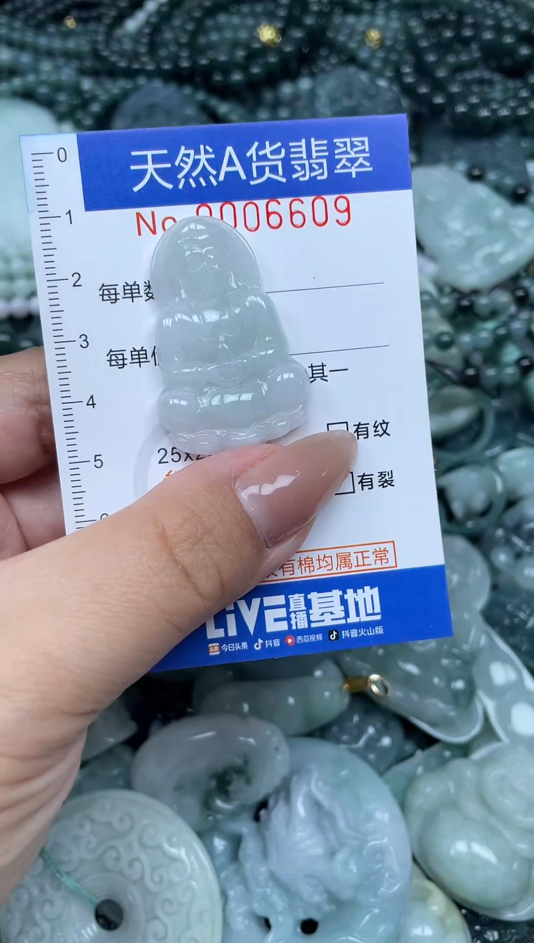 颈饰未镶嵌翡翠天然A货 支持复检