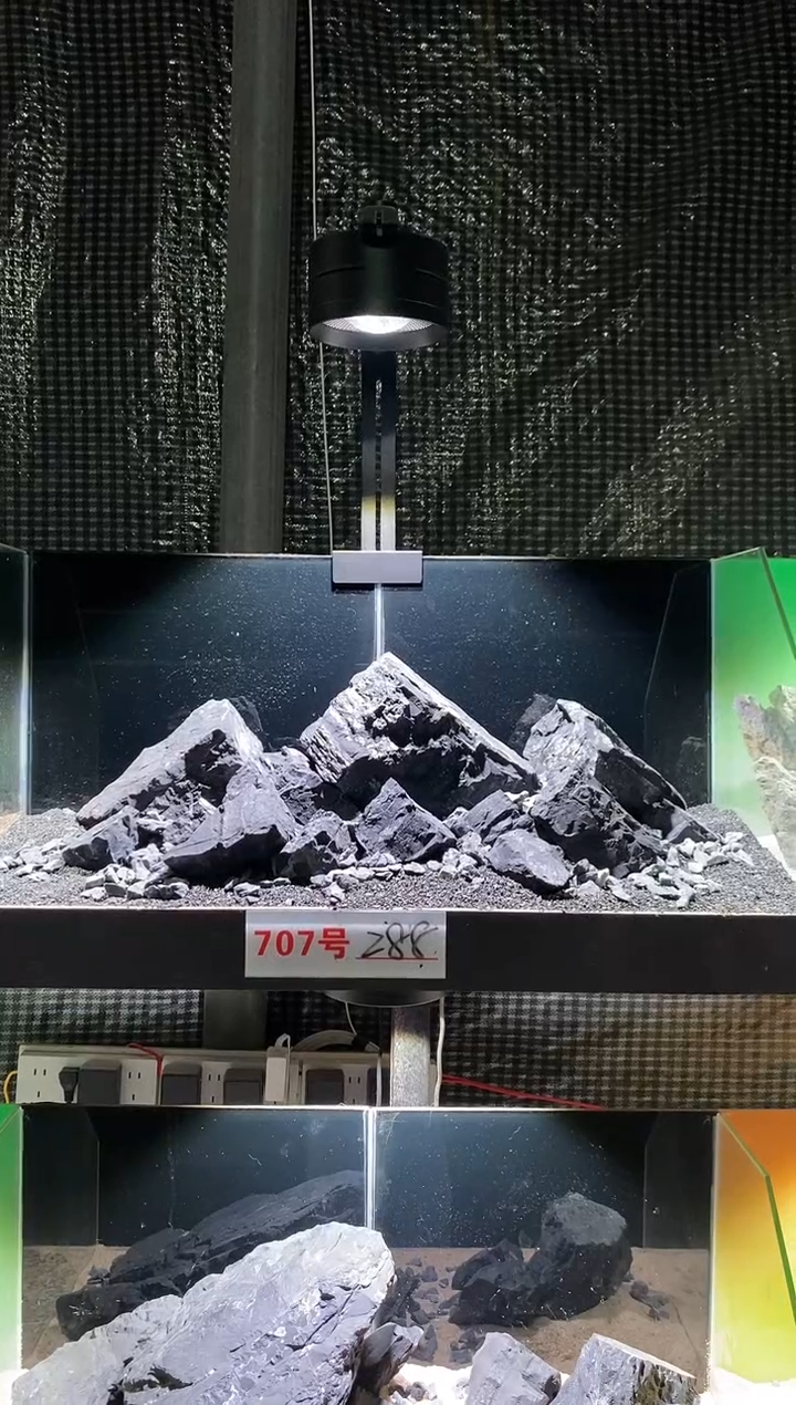 707号鱼缸造景（不含底砂）
