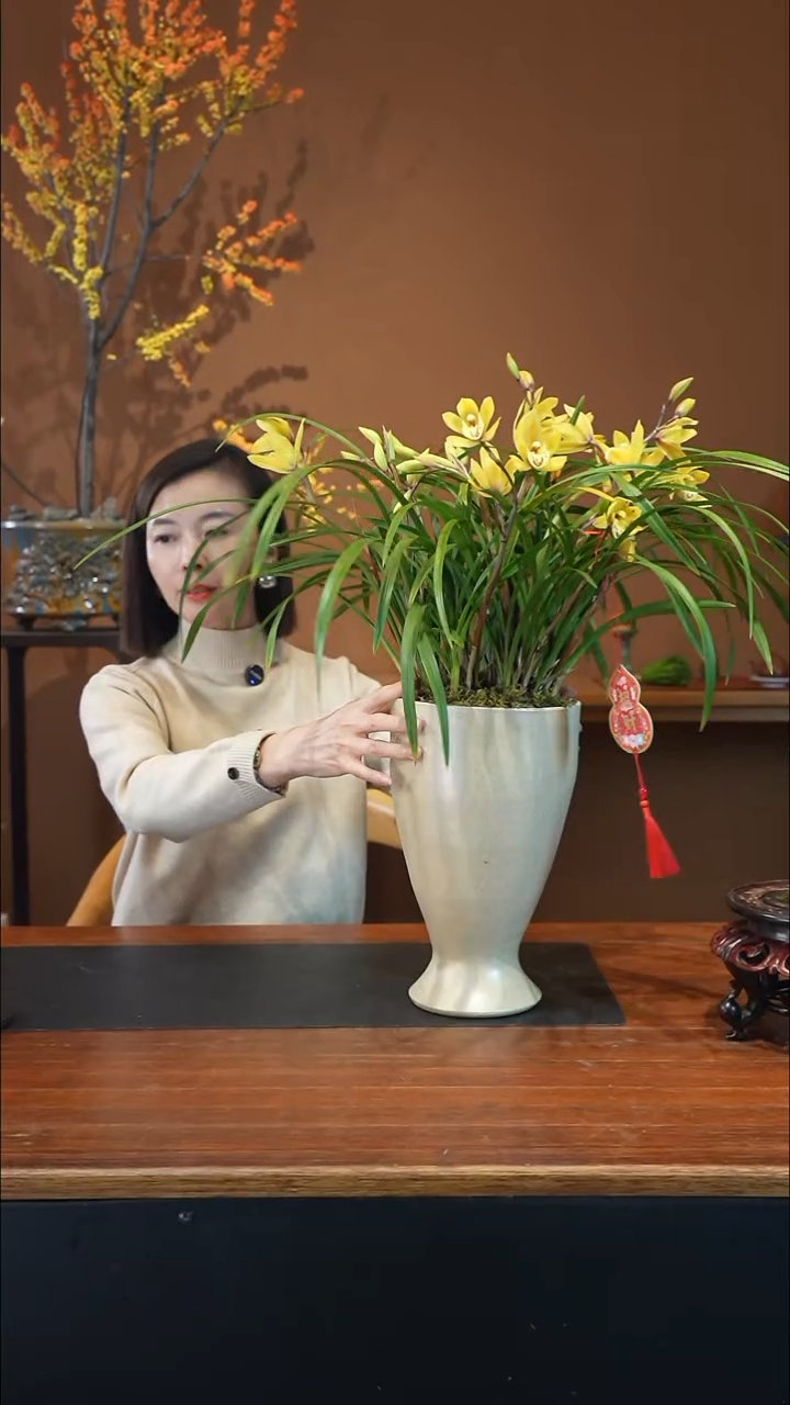 全部花朵黄莺盆景盆景盆景