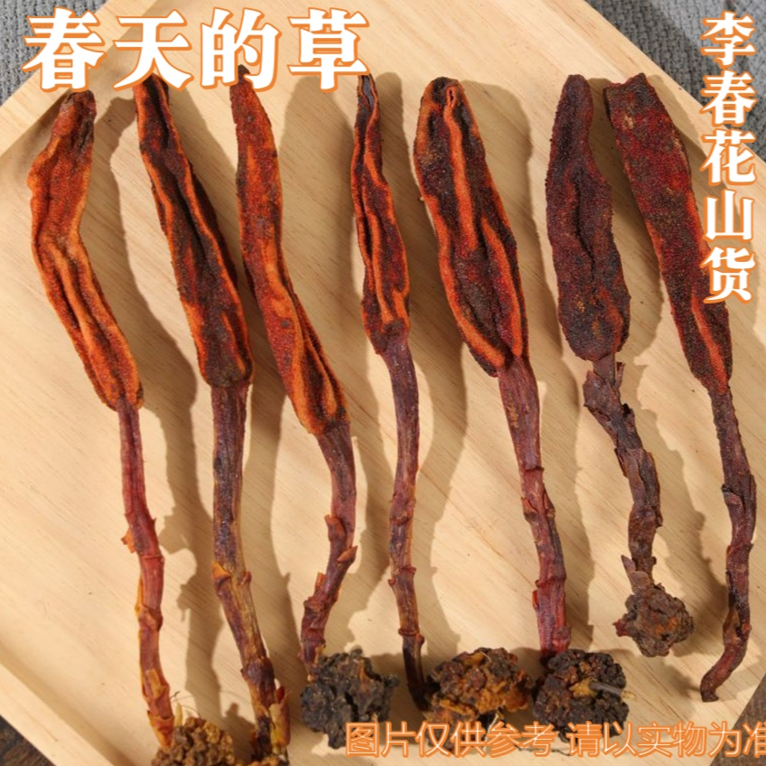 大山里的山货   春天的草