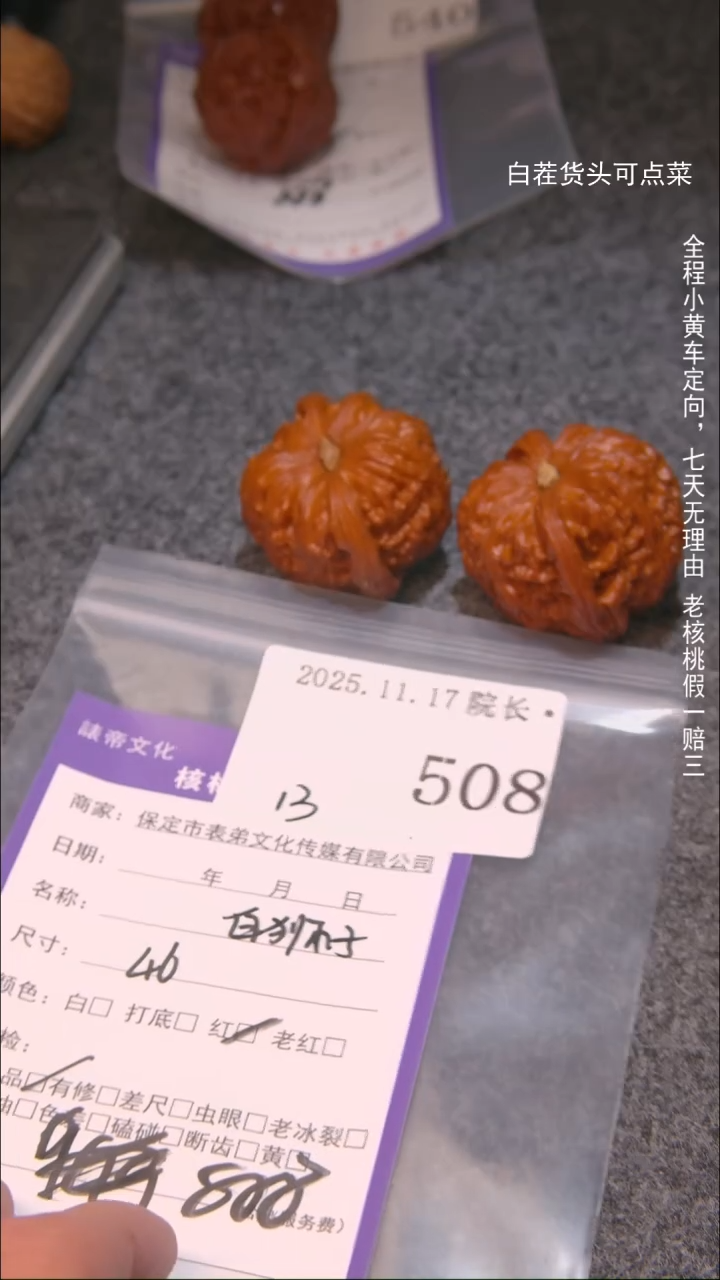 把件文玩核桃政?白狮子508諘帝文化