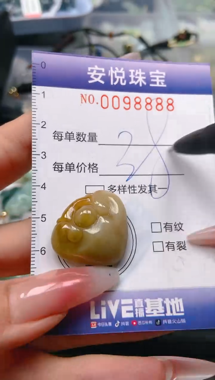 【闪购商品】翡翠颈饰未镶嵌闪购0098888