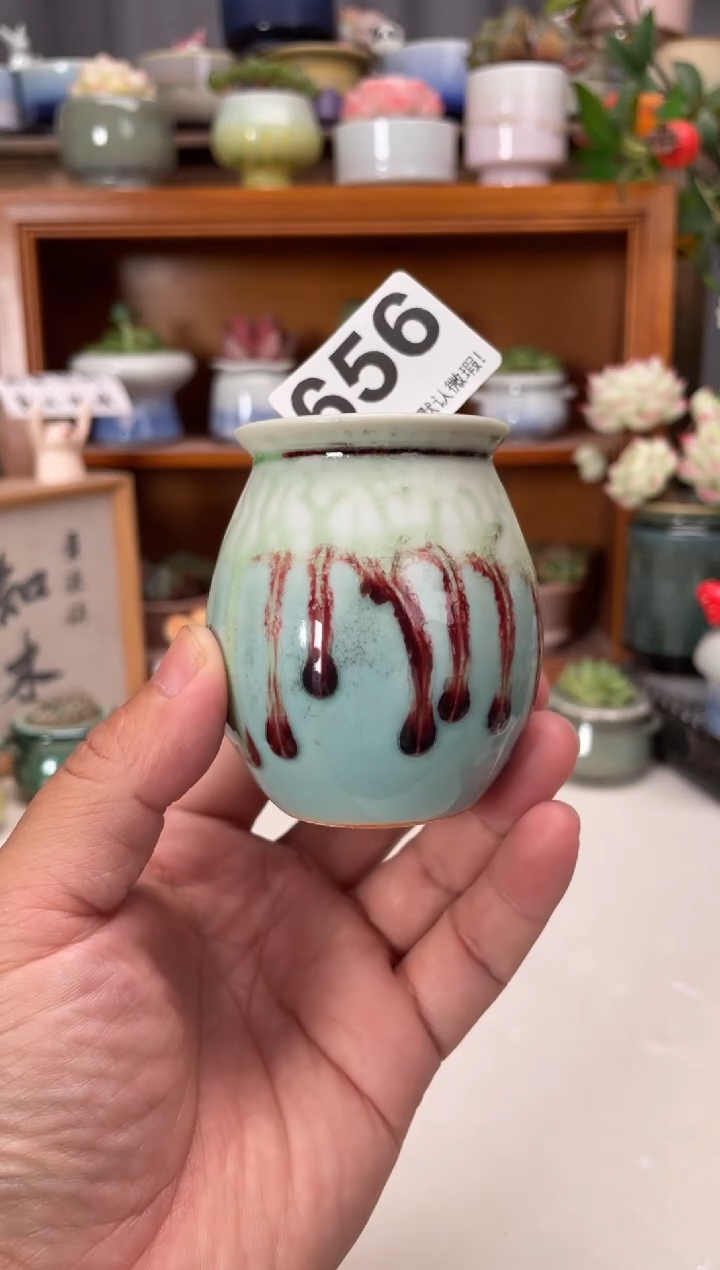 瓷片656知木花盆小芳