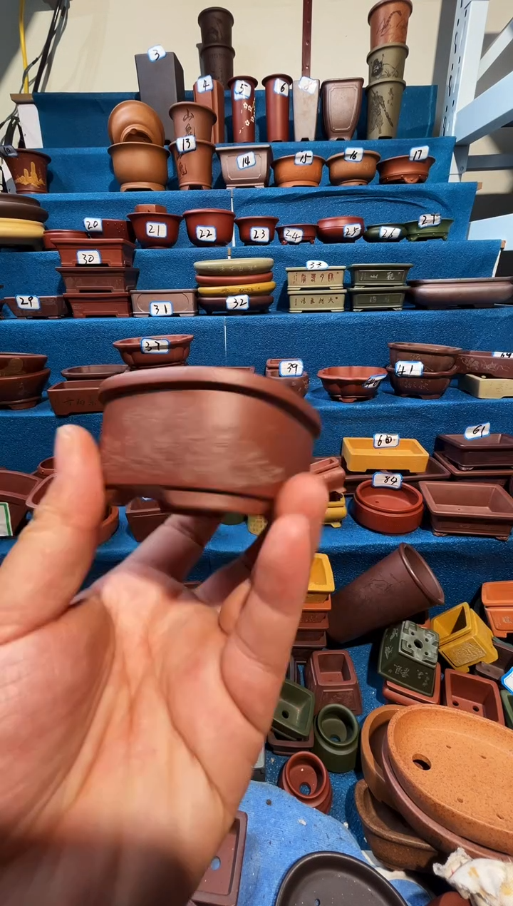 【闪购商品】紫砂紫砂花盆6.5*3