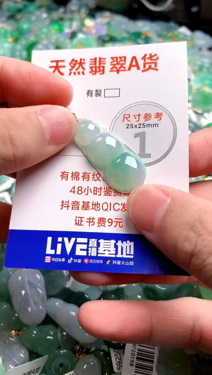 翡翠18K金镶嵌颈饰0667509273