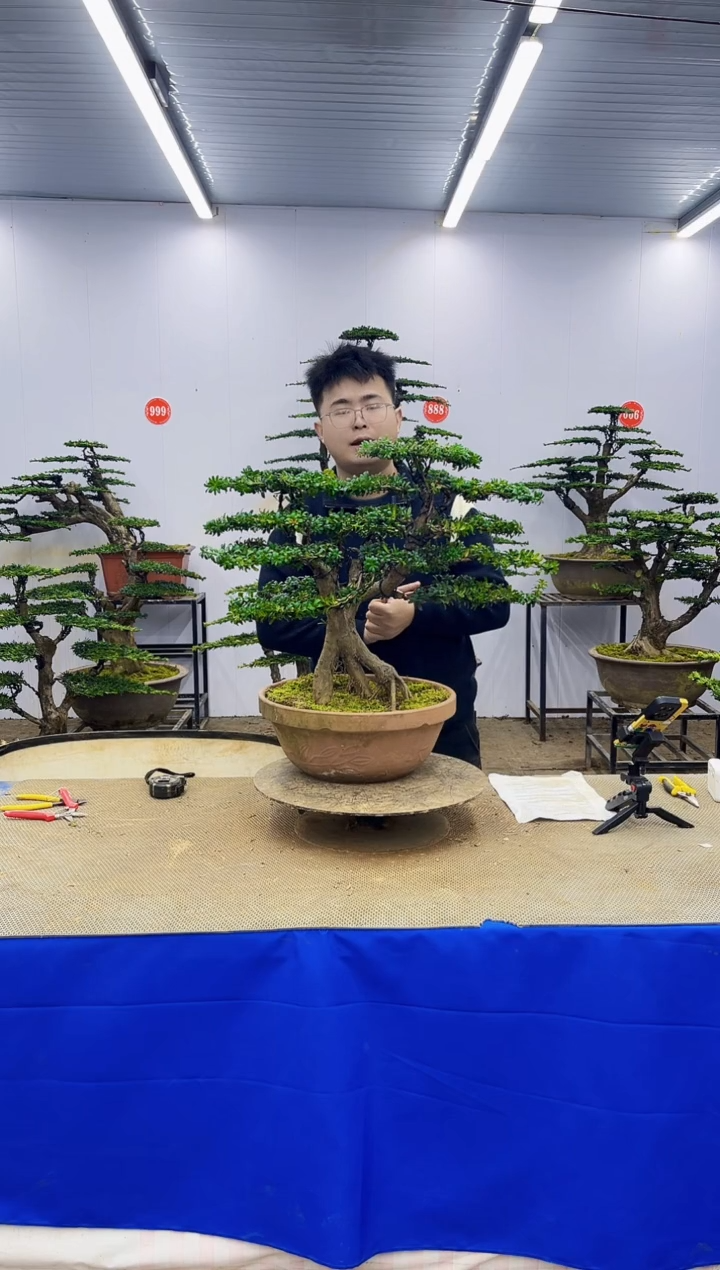 完全开放一物一拍，所见即所得