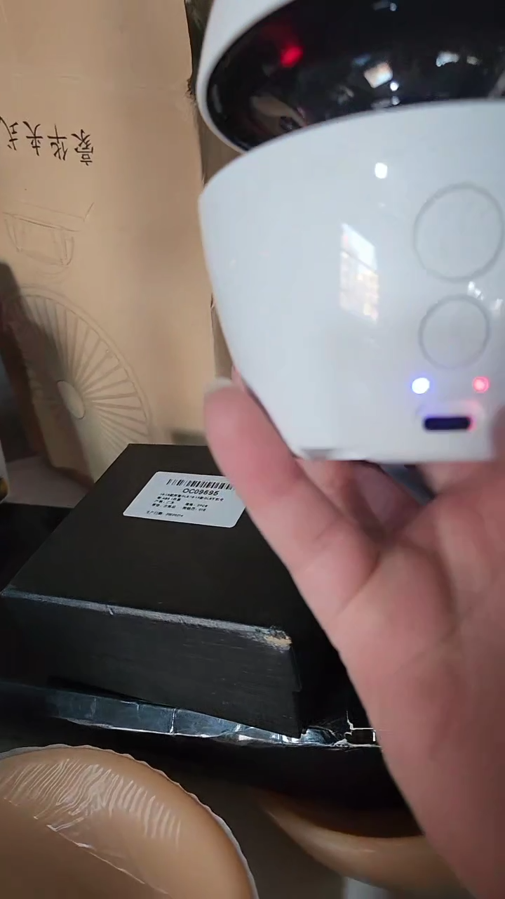 逗猫炸炸炸炸炸炸炸11