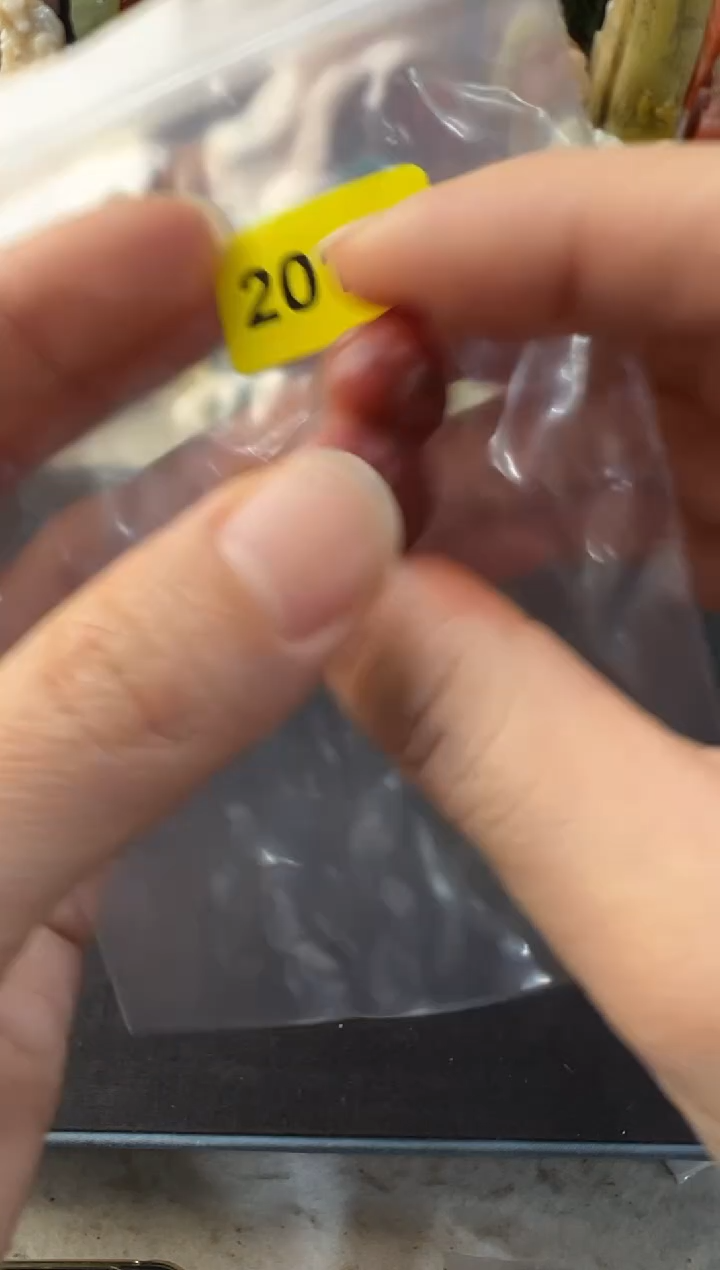 【闪购商品】青田石印石编号编号2011