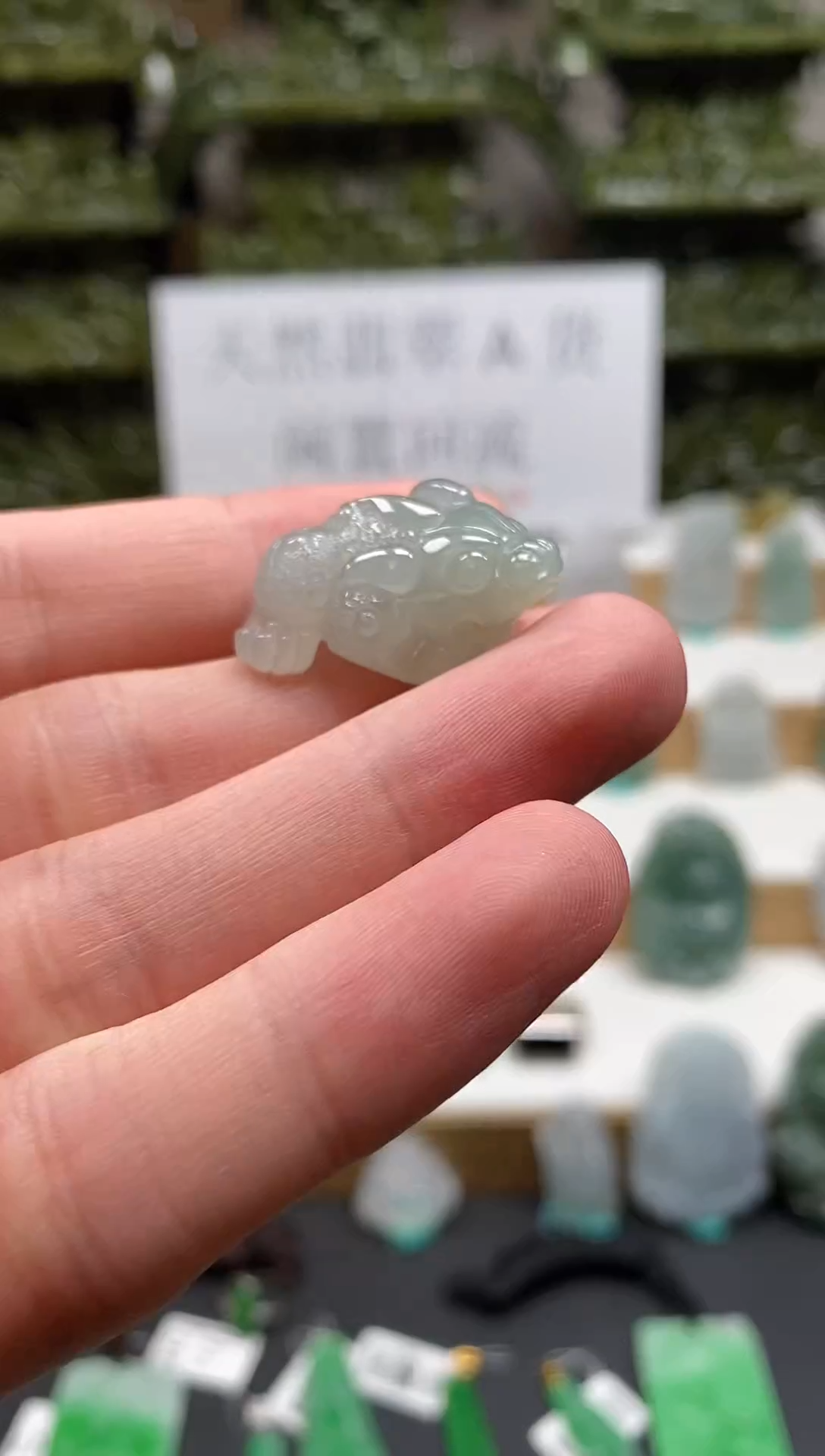 【闪购商品】翡翠颈饰未镶嵌吊坠20