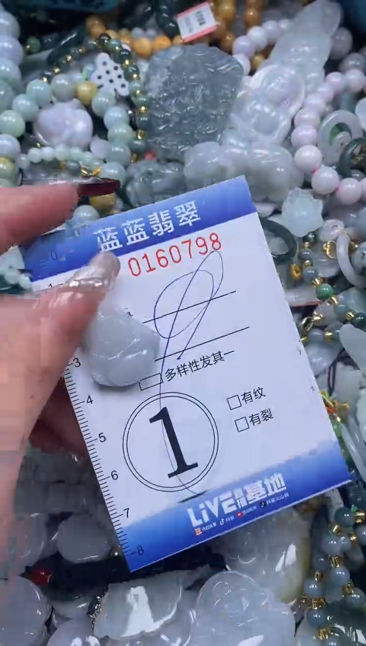 【闪购商品】翡翠颈饰未镶嵌闪购0160798