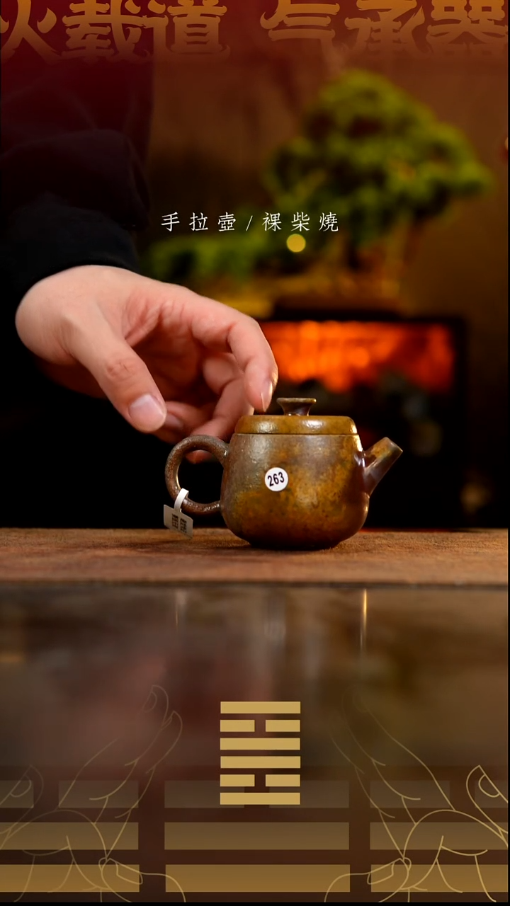 夸烧柴烧风笛壶263