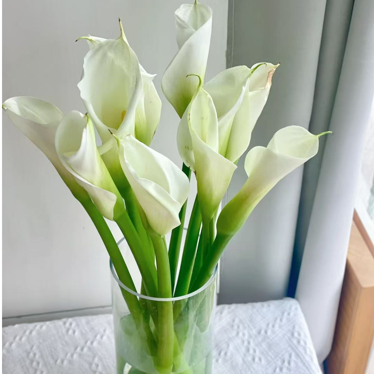 【阿卷哥】马蹄莲北方地址低温慎拍云南鲜花顺丰包邮