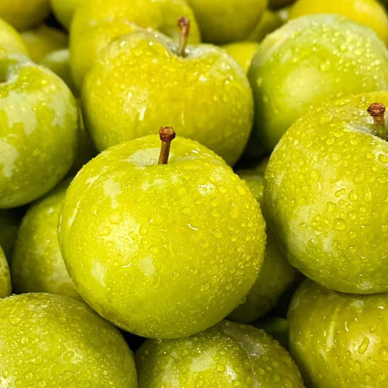 【先亏一万单】正宗贵州镇宁六马买一斤送一斤买二斤送三斤福利尝鲜果贵州省