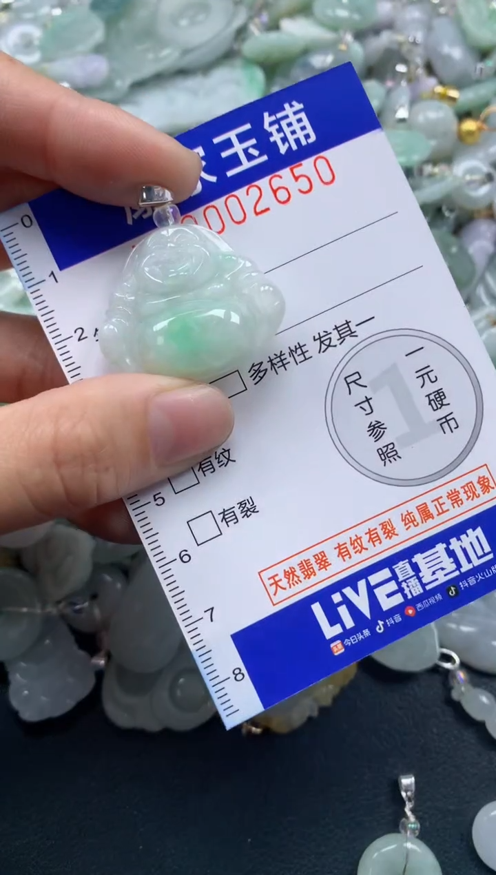 颈饰未镶嵌翡翠2650