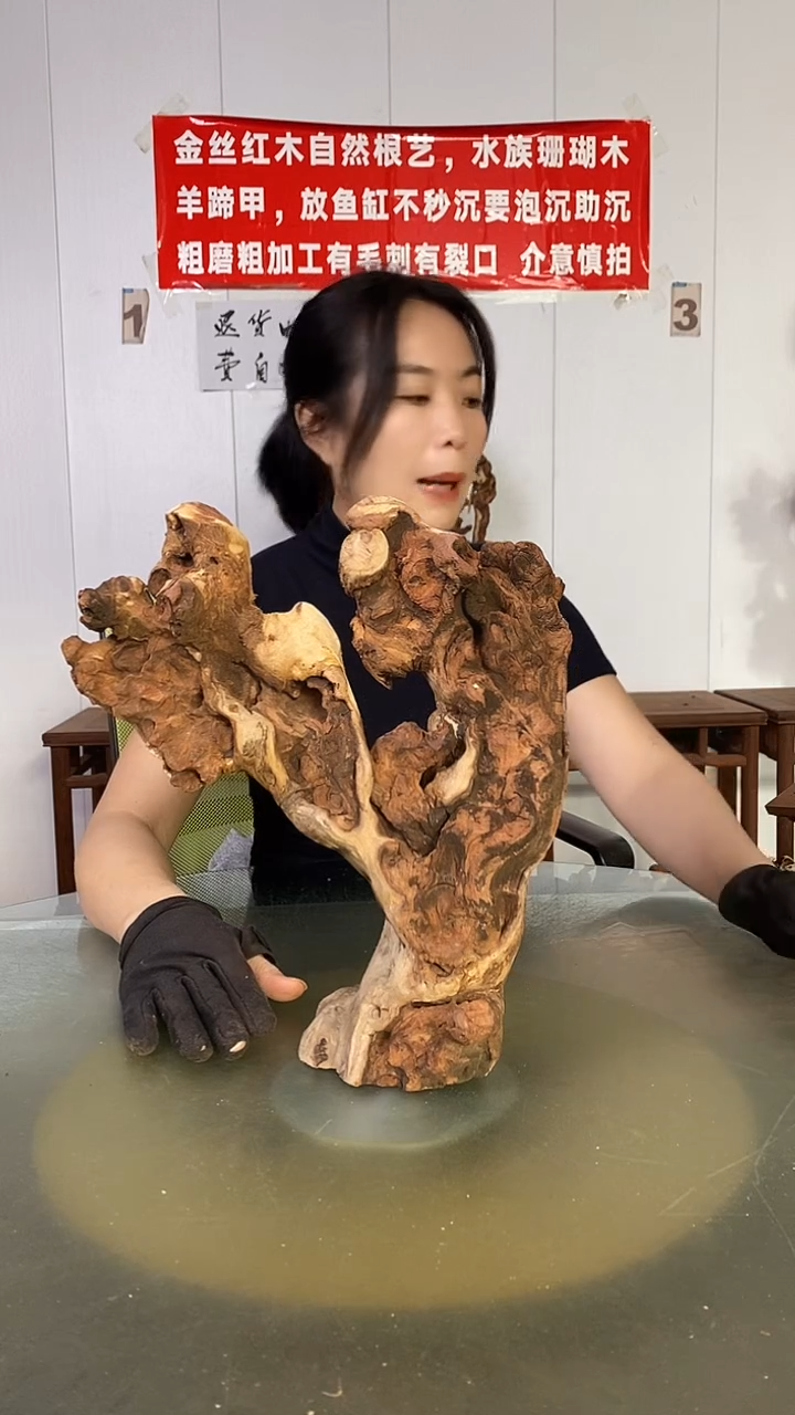 木用****0金丝红木  羊蹄甲