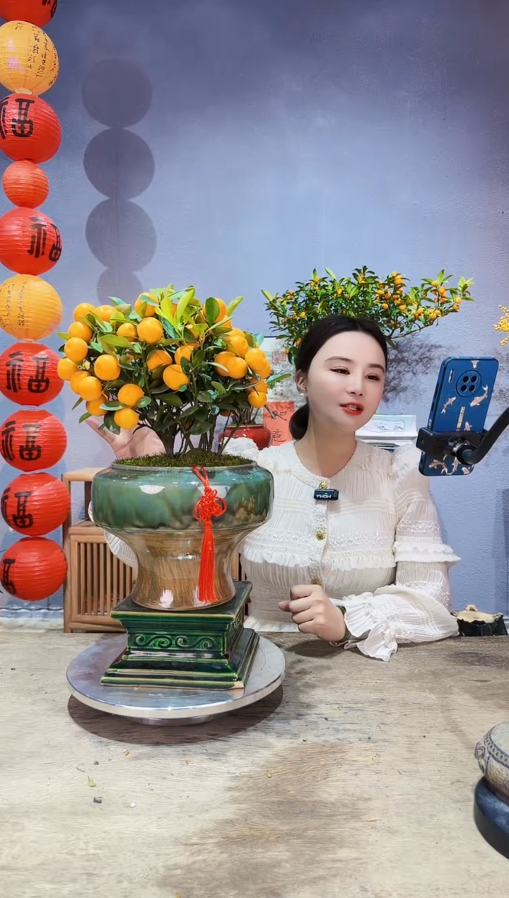 【闪购商品】盆景年桔