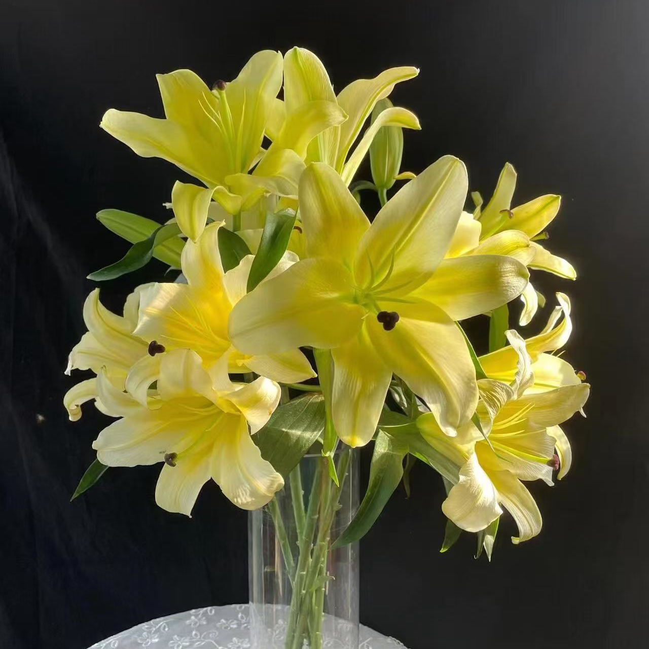 【木门】品质百合 玖枝花优选 基地直发鲜切花儿