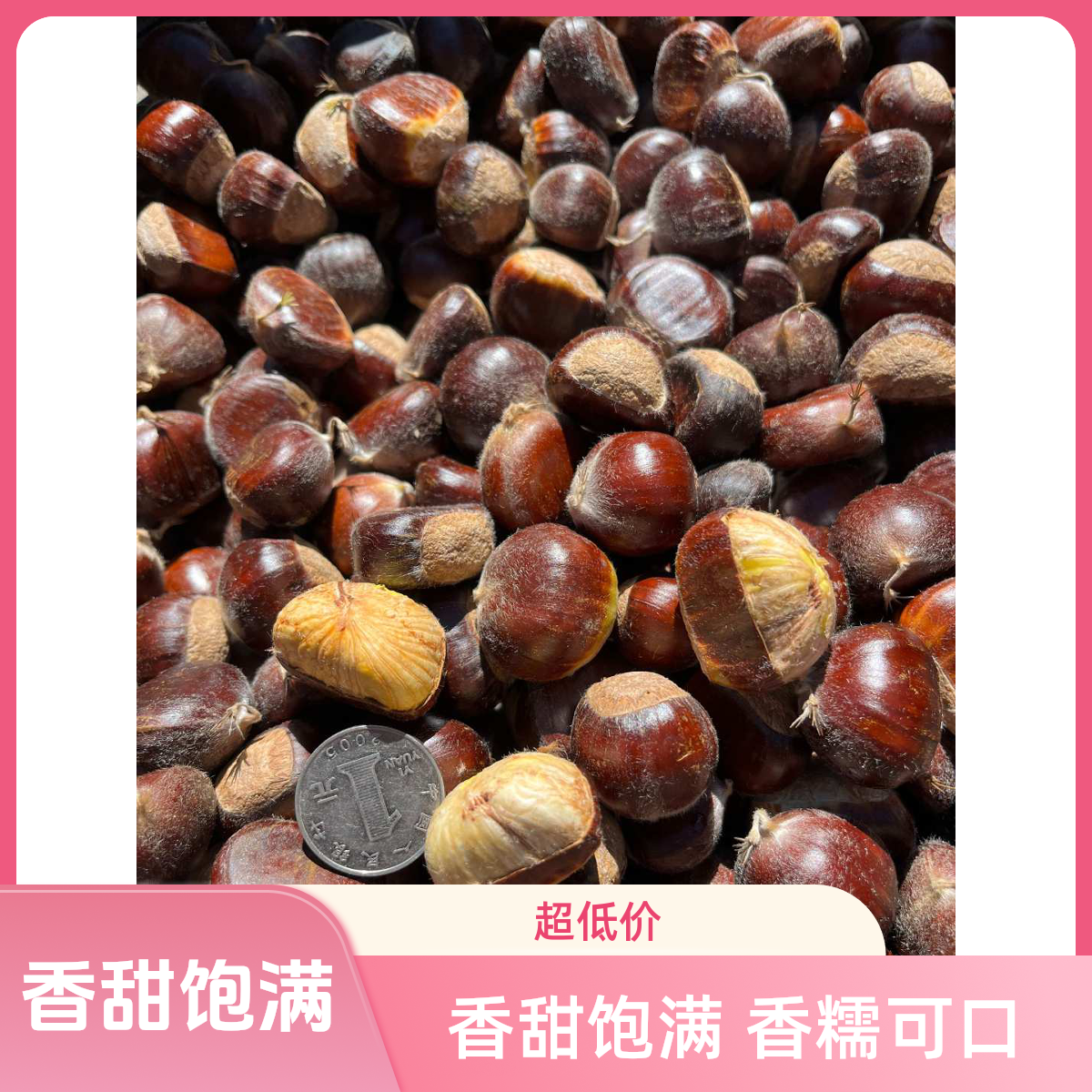 兴隆正宗高山长城老树板栗新鲜香甜颗颗饱满香糯【难剥皮送剥皮器】