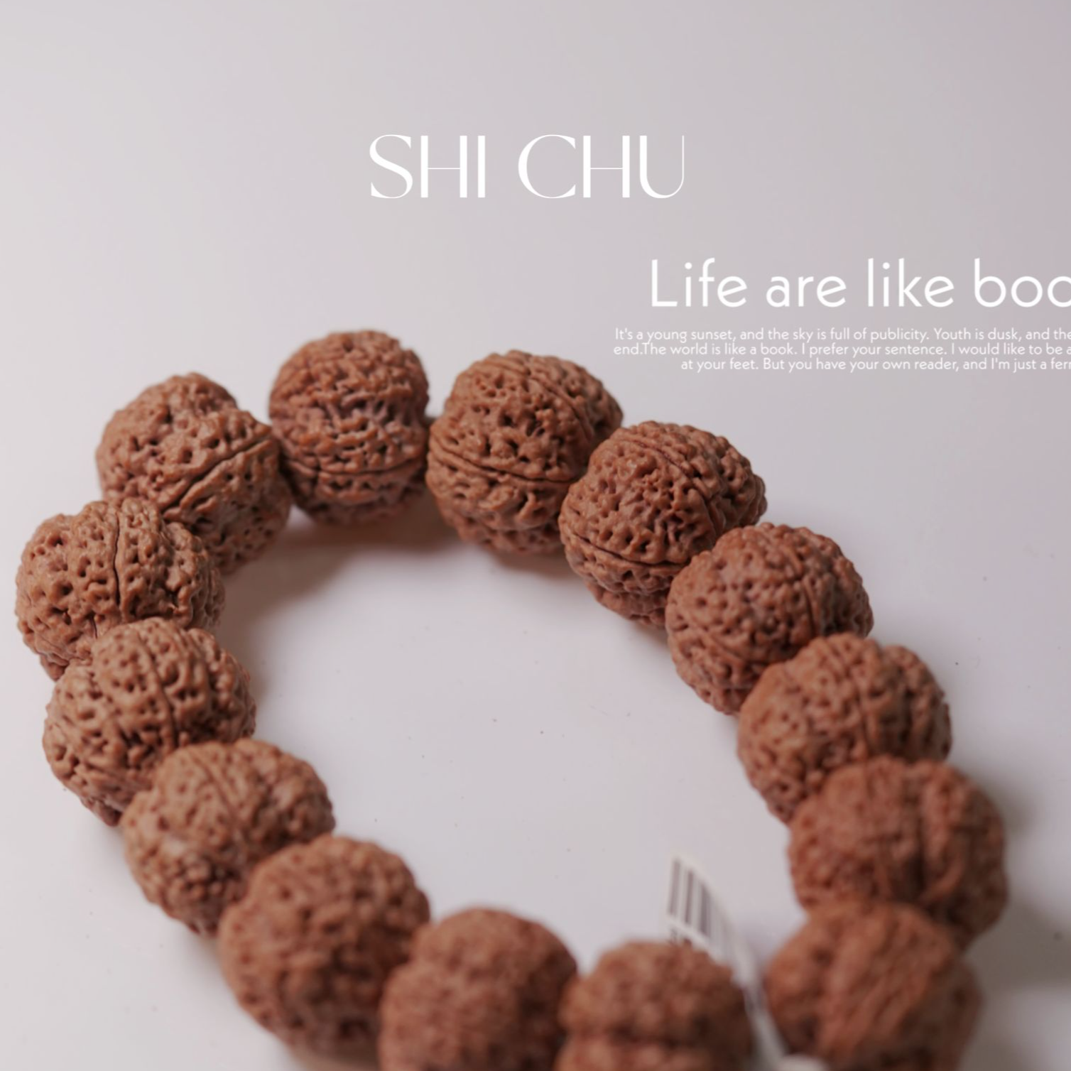 【精品大金刚】标款梁产区水晶蜂王 盘来好运 S2-2 Z