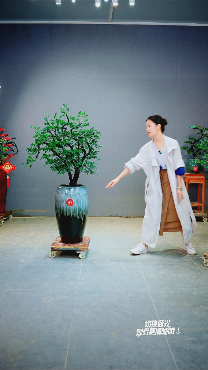 以实际为准淡*67号一物一拍绿植