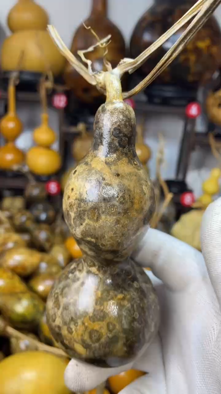 【闪购商品】葫芦葫芦葫芦葫芦