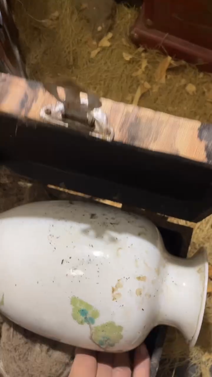 玉米李想专属链接  花瓶-----福利