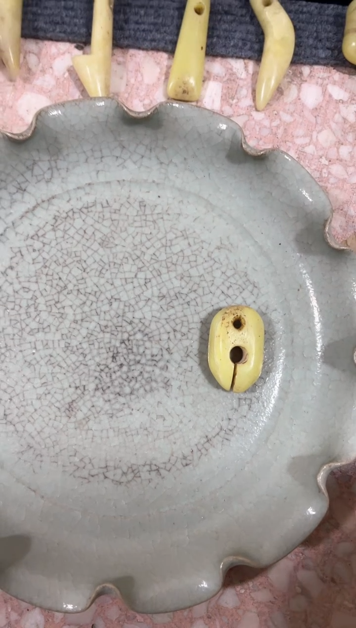 【闪购商品】瓷片瓷瓷瓷瓷瓷瓷瓷瓷瓷瓷瓷瓷瓷