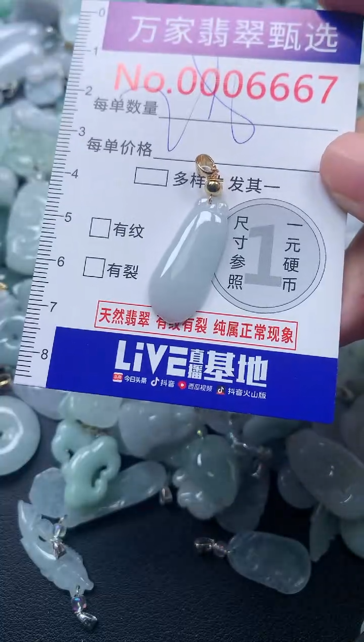 颈饰未镶嵌翡翠6667