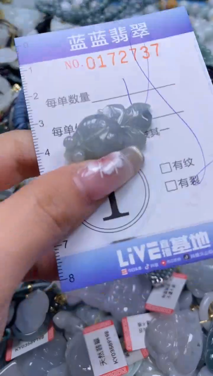 【闪购商品】翡翠颈饰未镶嵌闪购0172737